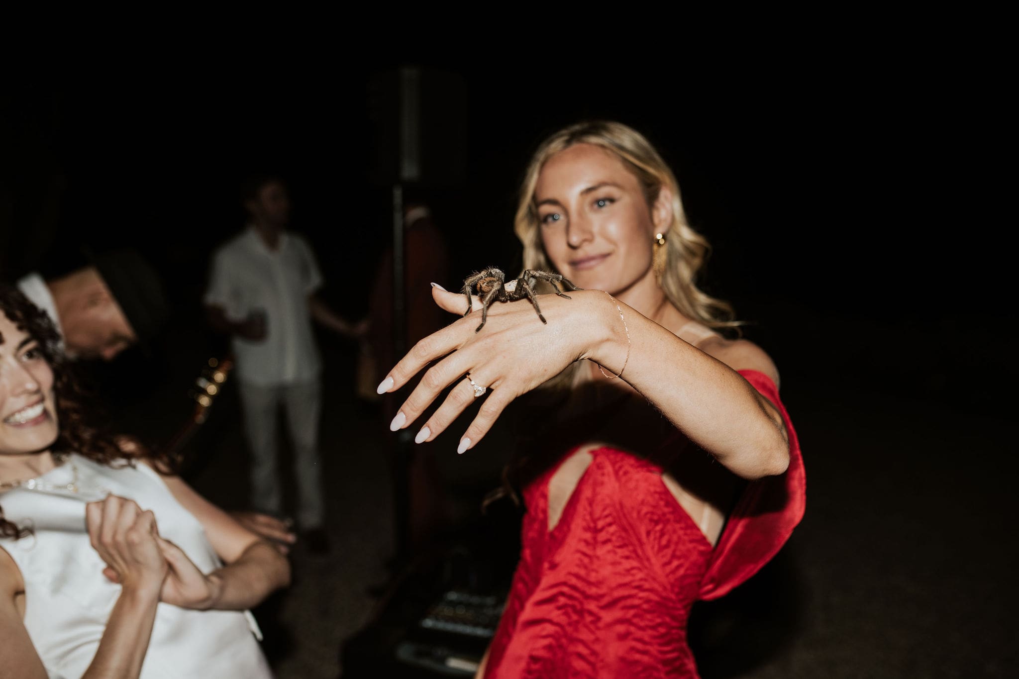 Bride holding a tarantula and posing in red dress at The Little Daisy Jerome wedding reception