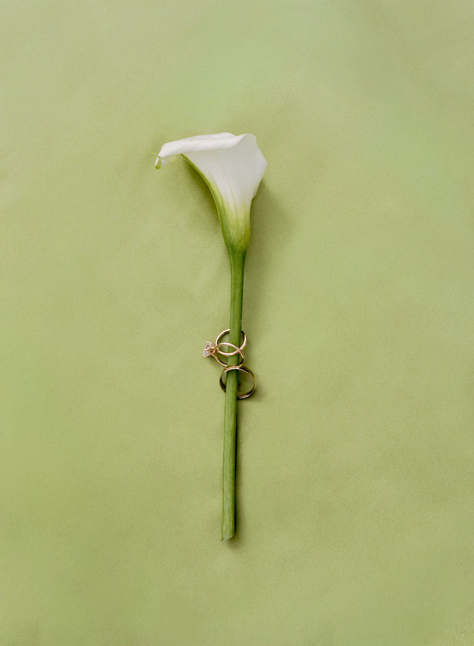 White calla lily boutonniere with wedding rings styled for timeless wedding flat lay inspiration, details thought out by a Atlanta wedding planner